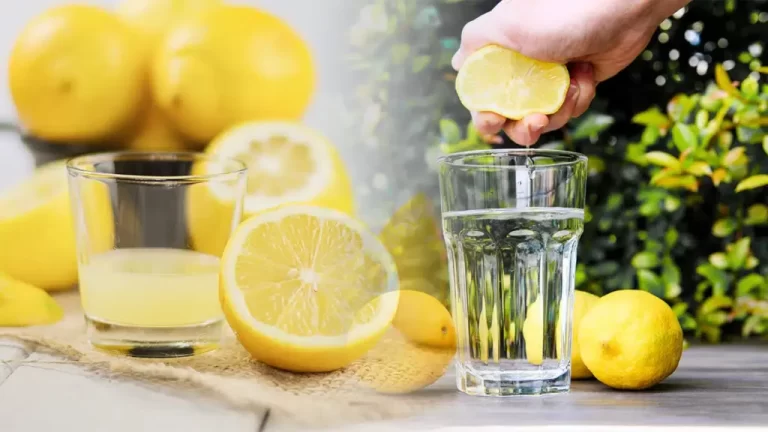Triglycérides avec du Citron