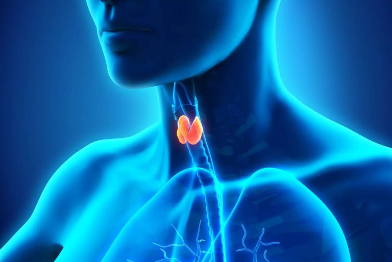 vivre sans thyroide