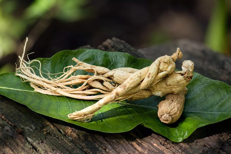 ginseng-bienfaits-femme