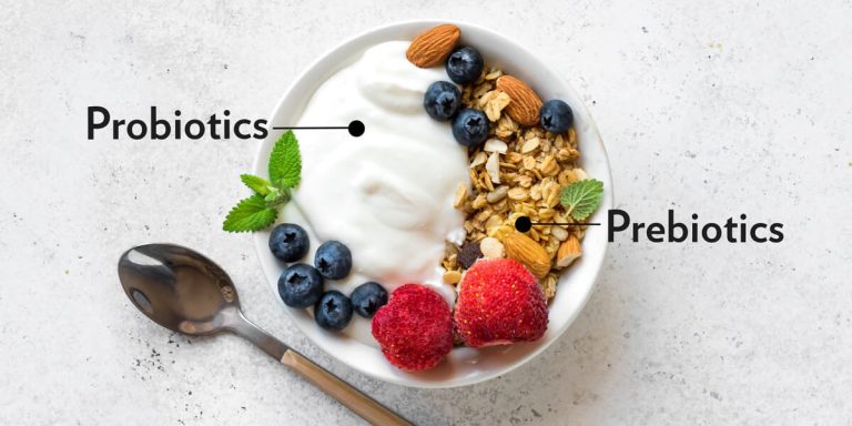 prebiotique-probiotique-difference