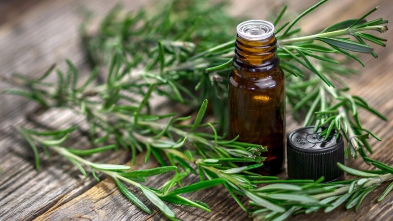 huile-essentielle-romarin-a-cineole