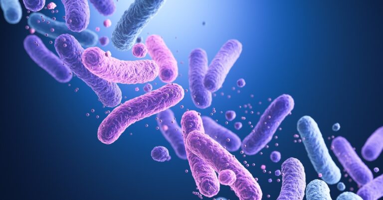 combien-de-temps-pour-reconstituer-la-flore-intestinale