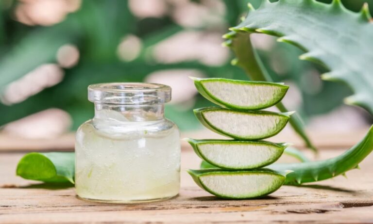 masque-cheveux-aloe-vera-et-ricin