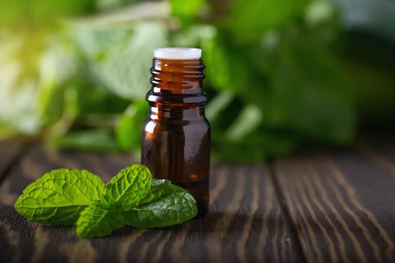 huile-essentielle-menthe-poivree