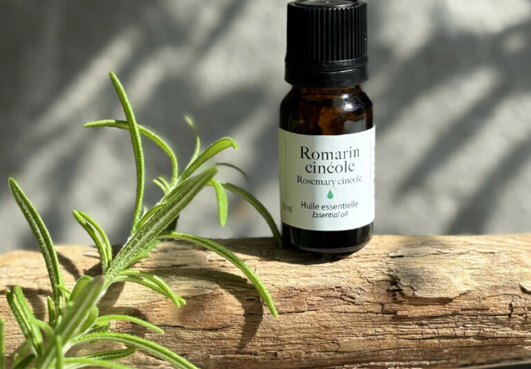 romarin-a-cineole-memoire